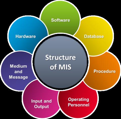 Management Information System (MIS)